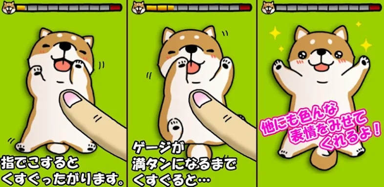 Tickling dog screenshots