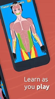 Human Anatomy - Body parts screenshots