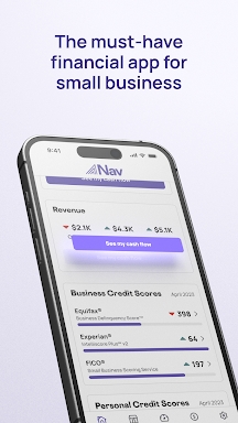 Nav Business Financial Health screenshots