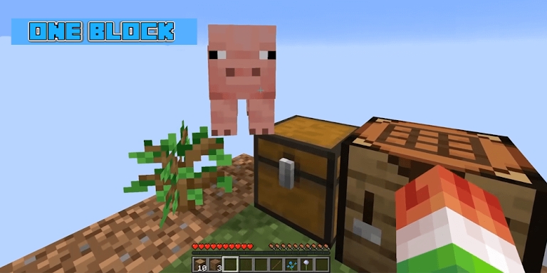 One Block Survival Minecraft M screenshots