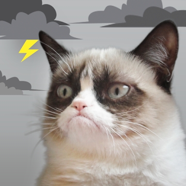 Grumpy Cat Weather screenshots
