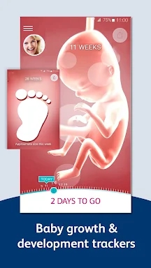 Bounty - Pregnancy & Baby App screenshots