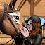 Star Equestrian - Horse Ranch icon