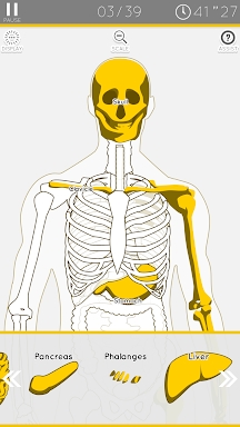 E. Learning Anatomy puzzle screenshots
