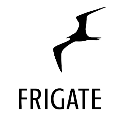 Frigate CCTV screenshots