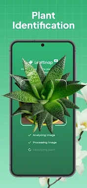 LeafSnap Plant Identification screenshots