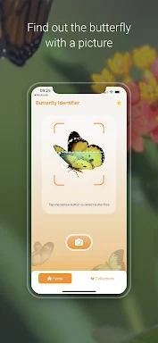 Butterfly Identifier - Insect screenshots