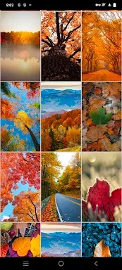 Fall Wallpapers screenshots