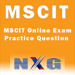 MSCIT Online Exam Practice