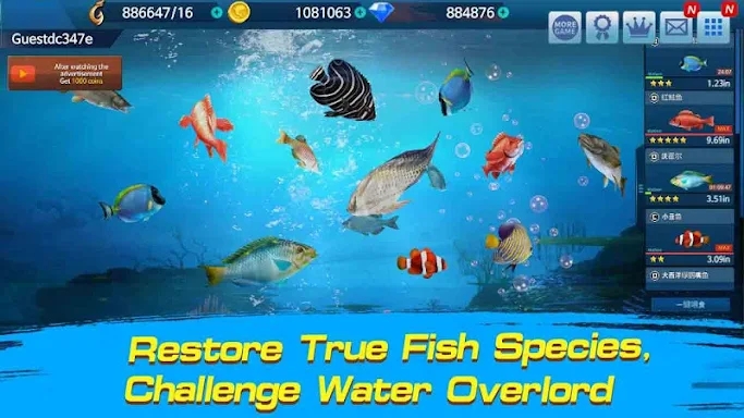 Fishing Championship screenshots
