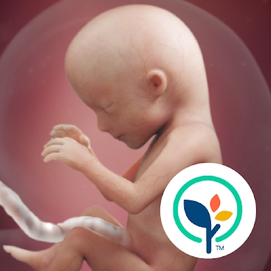 Pregnancy App & Baby Tracker screenshots