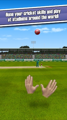New Star Cricket screenshots