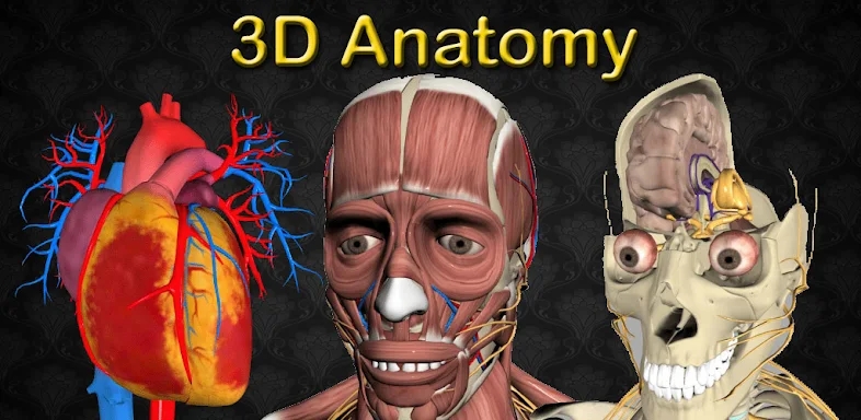 3D Bones and Organs (Anatomy) screenshots