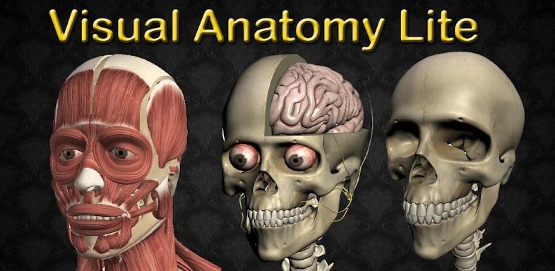 Visual Anatomy Lite screenshots
