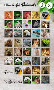 Wonderful Animals screenshots