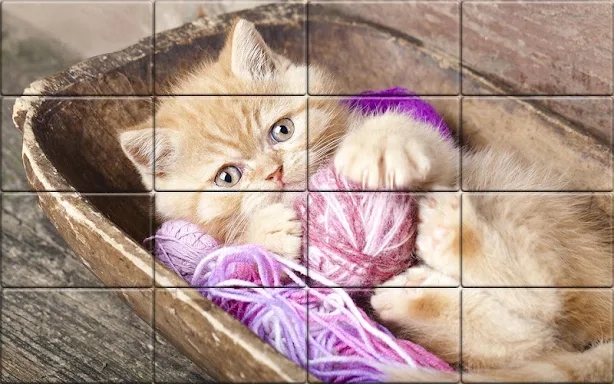 Tile Puzzle Cats screenshots