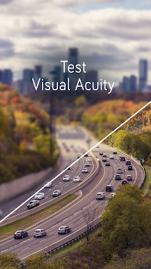 Visual Acuity Test screenshots