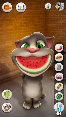 Talking Tom Cat screenshots