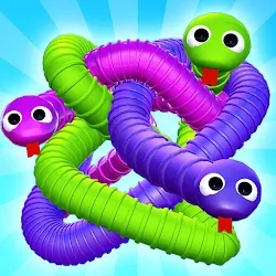 Tangled Snakes Puzzle Game