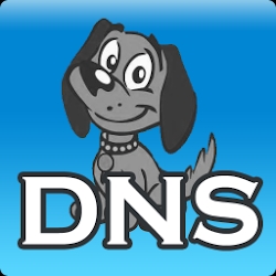 DNS Server, anti DNS pollution