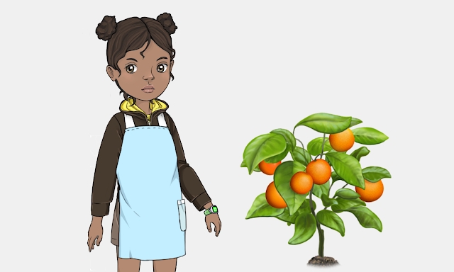 Orange Tree screenshots