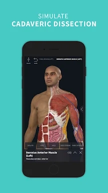 Complete Anatomy 2024 screenshots