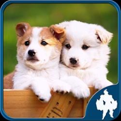 Dogs Jigsaw Puzzles