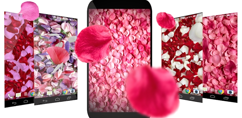 Petals 3D live wallpaper screenshots