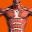 Muscular System 3D (anatomy) icon