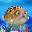 Blowfish - Live Wallpaper icon