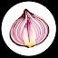 Onion Search Engine icon