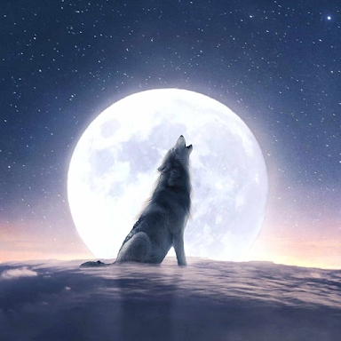 Moonovel-Werewolf Romance screenshots