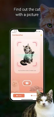 Cat Identifier - Cat Scanner screenshots