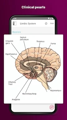 PsychNotes: Clinical Pkt Guide screenshots