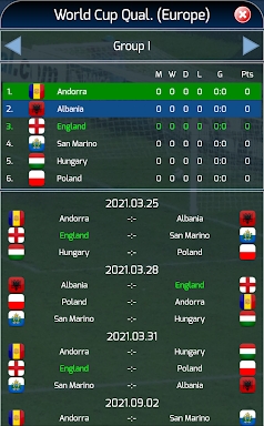 True Football National Manager screenshots