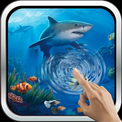 Interactive Shark