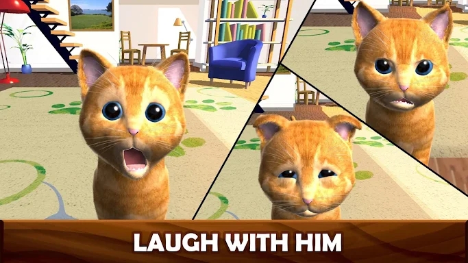 Daily Kitten : virtual cat pet screenshots