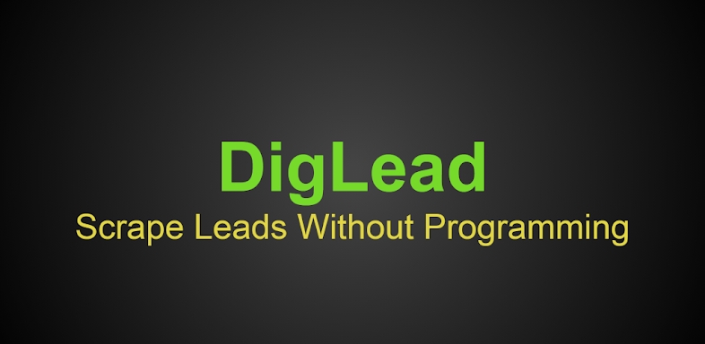 DigLead: Business Lead Scraper screenshots