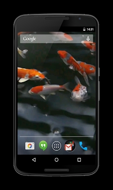 Koi Video Live Wallpaper screenshots