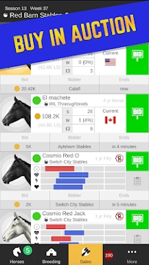 Stable Champions - Horse Racing Manager screenshots