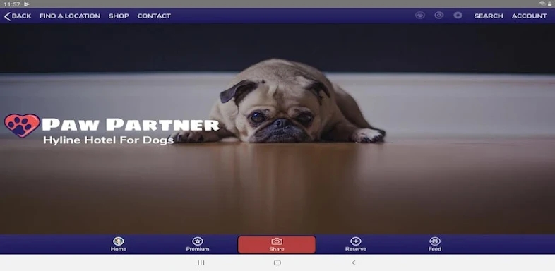 Paw Partner screenshots