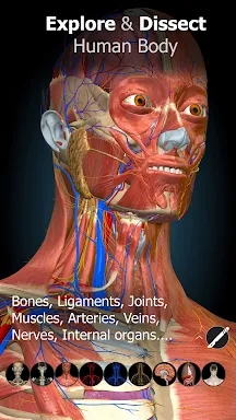 Anatomy Learning - 3D Anatomy screenshots