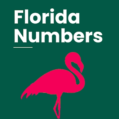 Florida: Numbers & Results screenshots