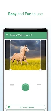 Horse Wallpaper HD screenshots