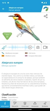 Aves de España screenshots