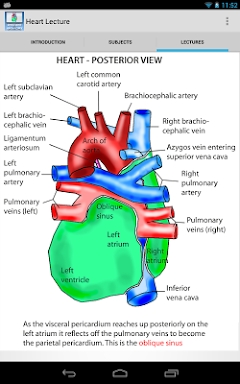 Anatomy Lectures - the heart screenshots