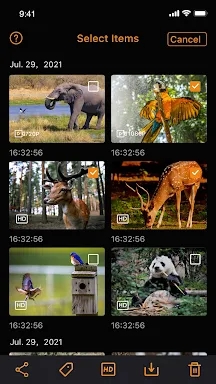 WingHomeCam: 4G Trail Camera screenshots