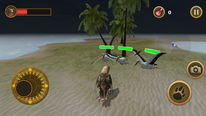 Sea Eagle Survival Simulator screenshots