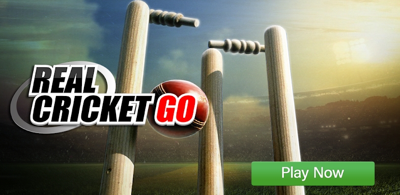 Real Cricket™ GO screenshots