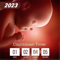 Due Date Countdown Pregnancy